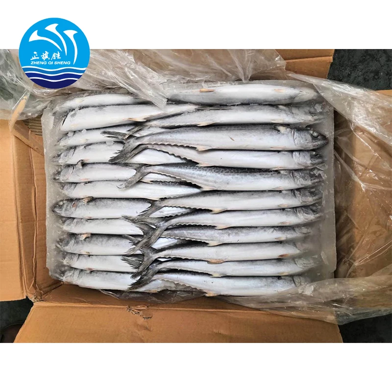 Frozen Scomber Fish spanish mackerel Food