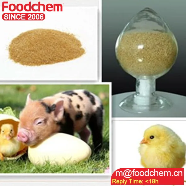 Food Grade choline chloride 60% promotion