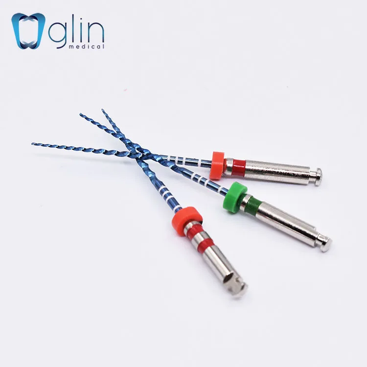 Durable GM3 Memory binco Denatl Files