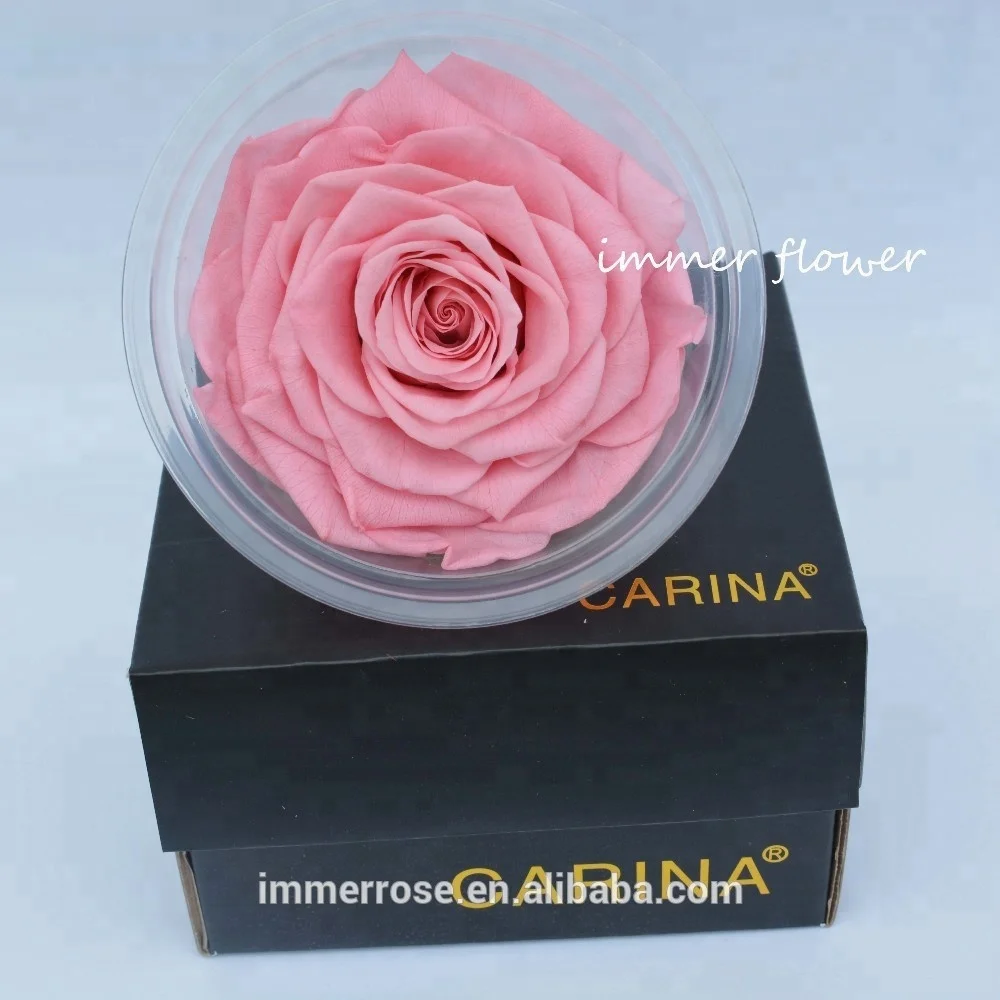 
Everlasting flowers ecuador huge rose Preserved Black Roses Flower 
