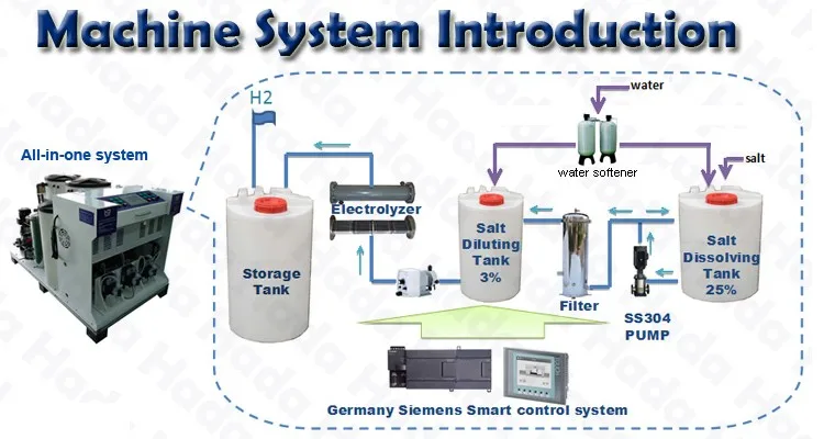 Salt water electrolysis 50g/h chlorine gas online generator