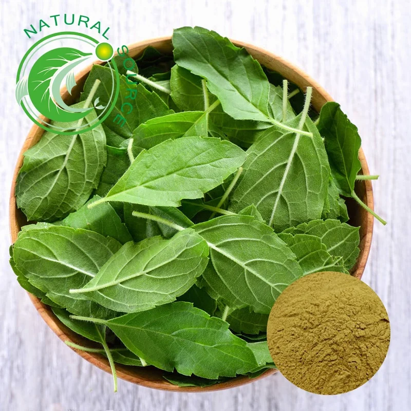 100% натуральное высококачественное растительное летучее масло, порошок экстракта листьев базилика 10:1