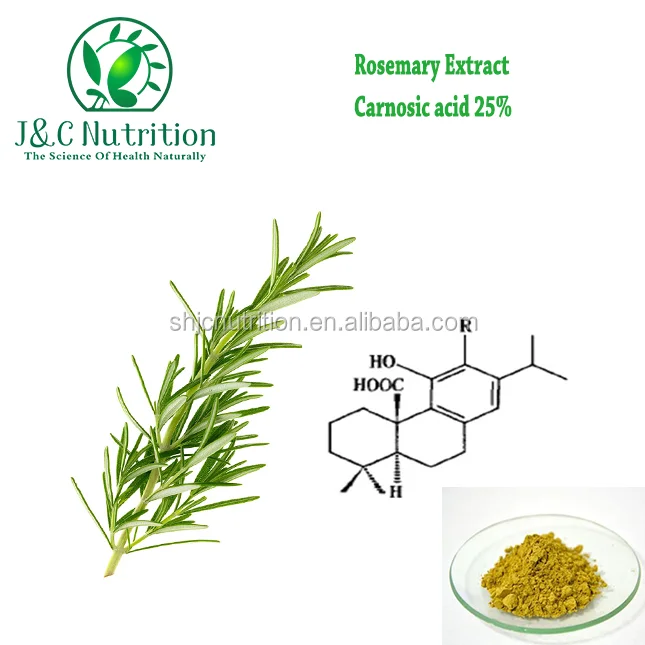 
Natural Dried Rosemary Extract Powder Carnosic Acid for Regulating Fat 