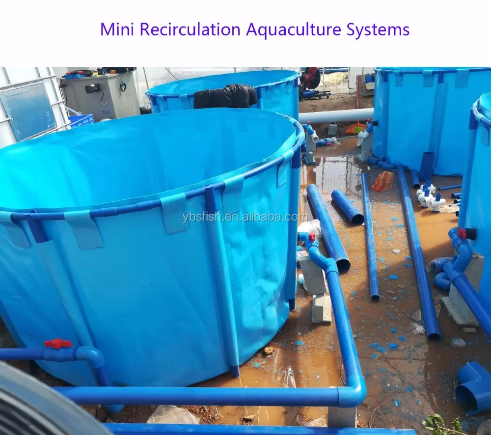10m3 Mini Recirculation Aquaculture Systems for Fish seedling
