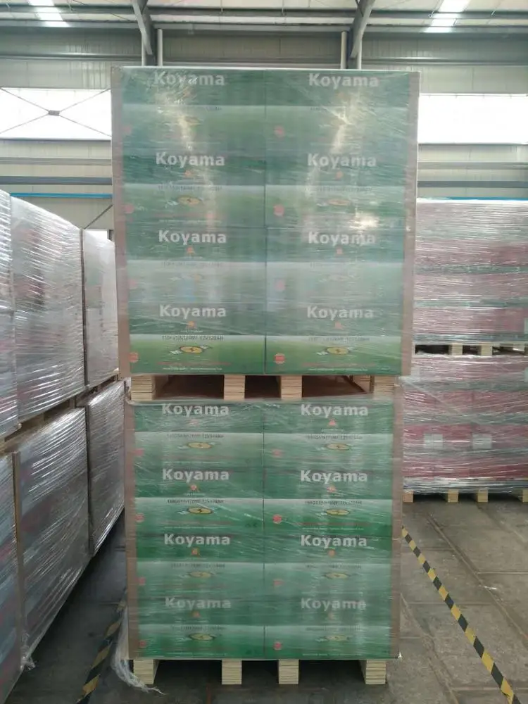 KOYAMA 12V 120Ah MF Heavy Duty Truck Batteries N120