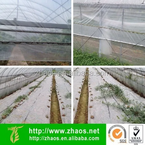 
transparent plastic film | greenhouse plastic film 6 mil | plastic roll film 