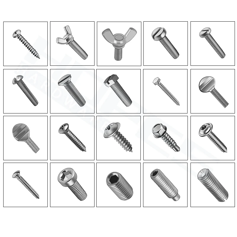 Stainless Steel A2 A4 SUS304 316 Diameter 4mm 5mm 6mm 8mm Anchor Bolt Screw for Ceiling Hollow Brick
