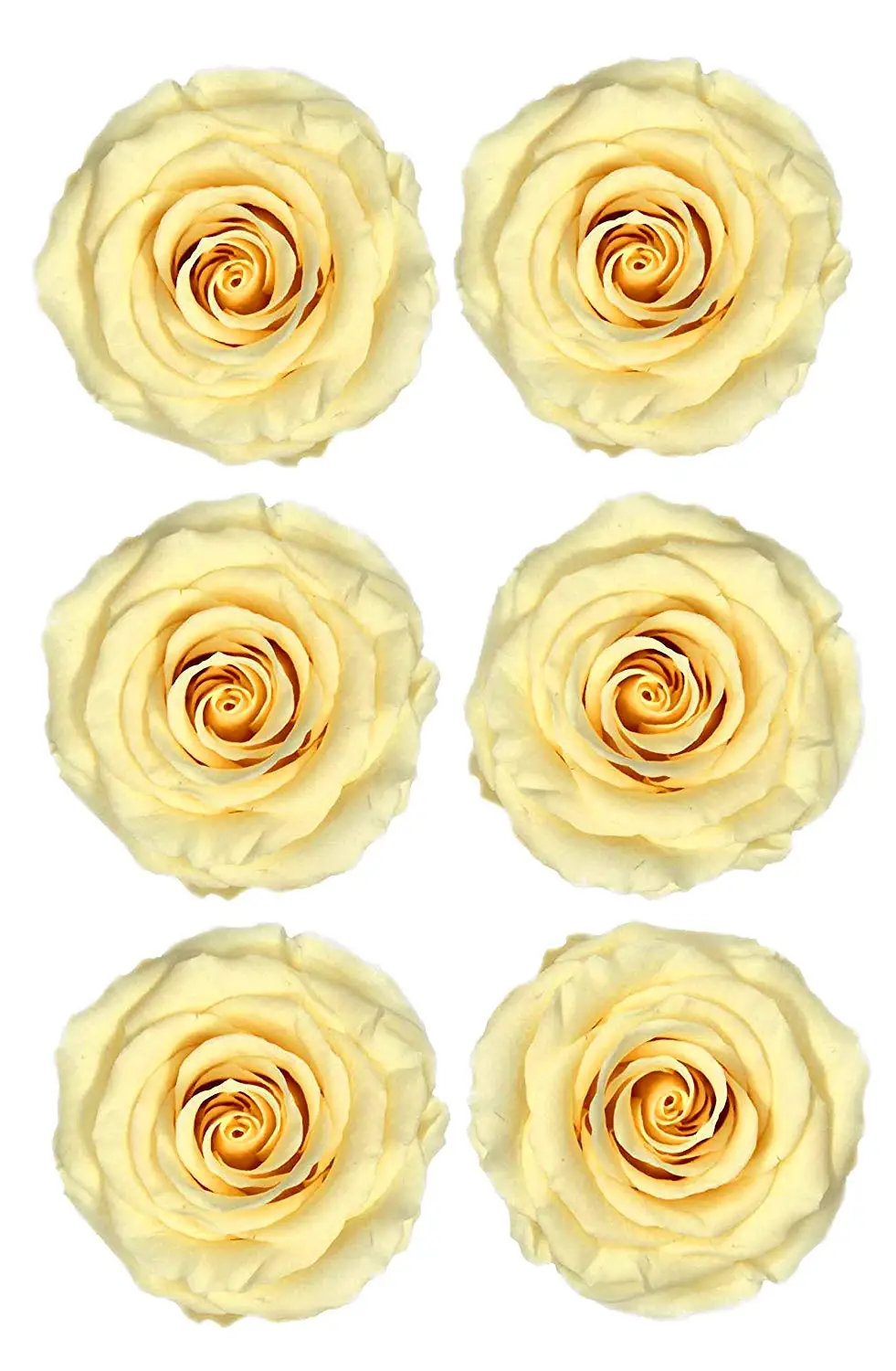 wholesale long lasting  flowers preserved roses for valentines day