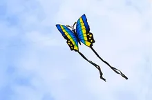 HTB1vUoHOVXXXXX1aXXXq6xXFXXXI