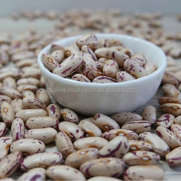 Round Light Speckled Kidney Beans LSKB for India | Pakistan | Yemen