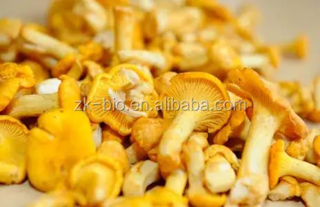 Dried Chanterelle Mushroom