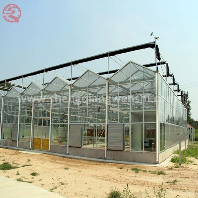 China supplier custom design orchid glass greenhouse