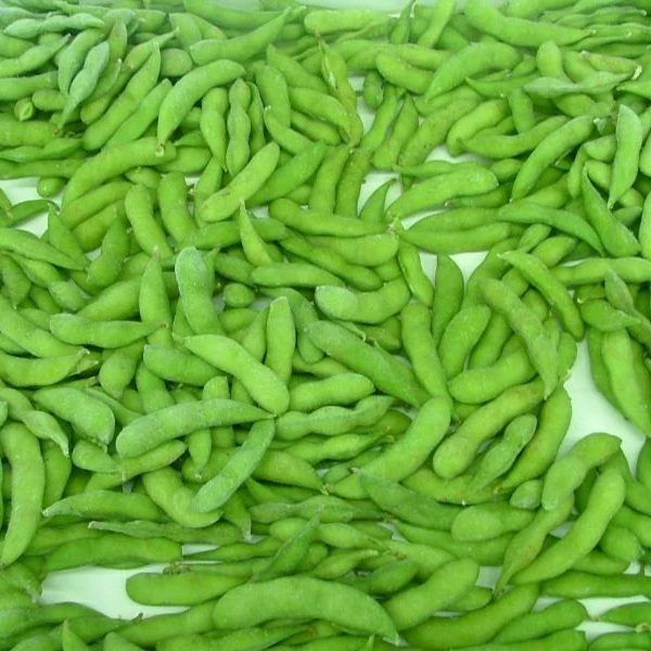 
high quality IQF frozen green soybean frozen edamame in pod 