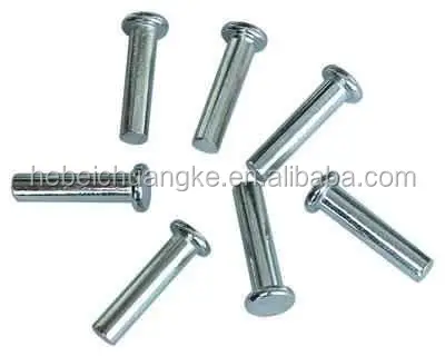 China manufacturer high quality and good price non-standard solid flat head steel and machine rivets