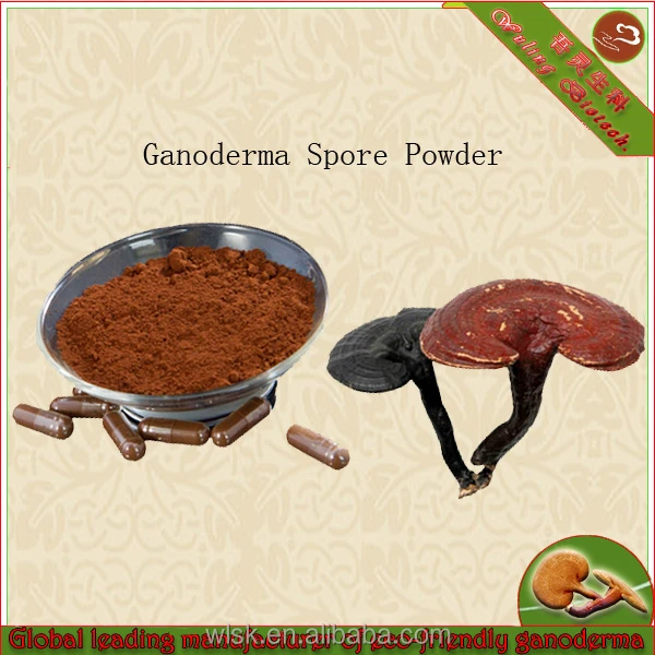 Новые продукты частной торговой маркой ganoderma спор порошок здоровый уход