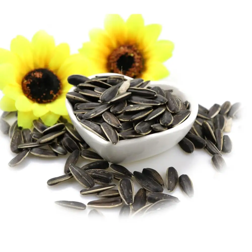 Natural Growth Sunflower Seeds 361 Chinese Sunflower Seeds A Ton Price Sunflower Seeds Raw