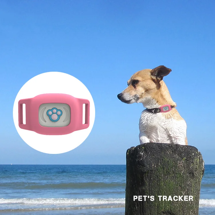 Mini gsm gps collar NB-IOT micro PET gps collar tracker