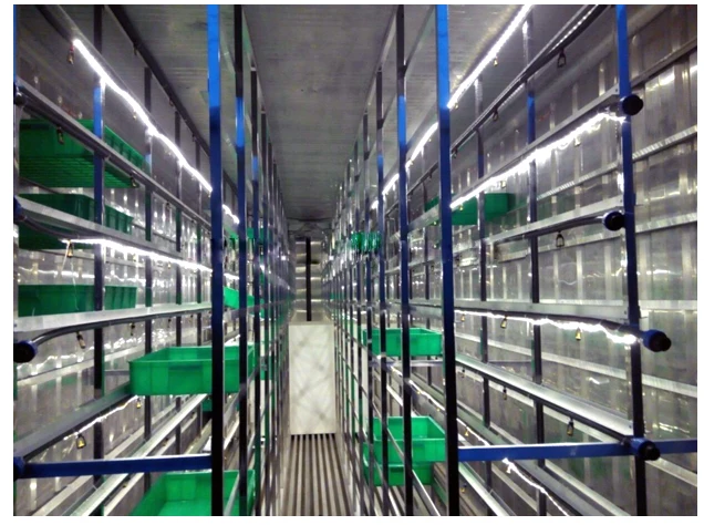 
Container Type Hydroponic Energy-saving Cattle And Sheep Fodder Growing Machine 