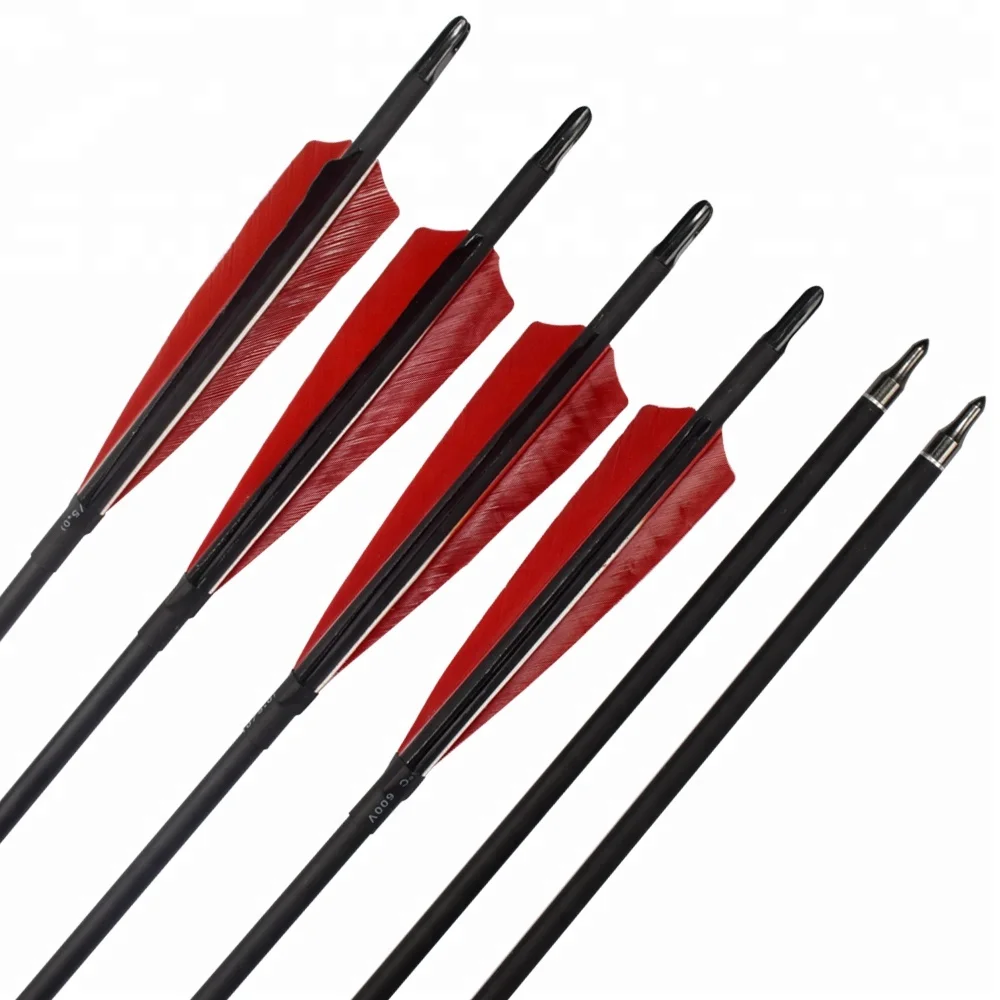 Hunting Arrows Equipment 5' Turkey Feather Target Field Point 30' Roll Fiberglass Arrow for Sale