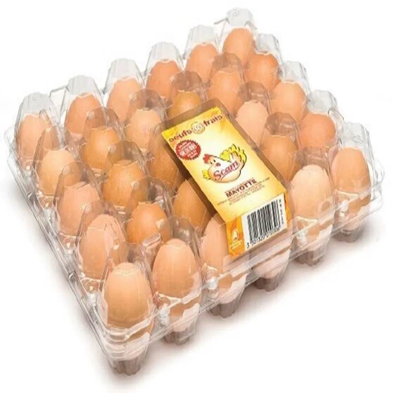 Best selling plastic crate tray for 30 chicken eggs