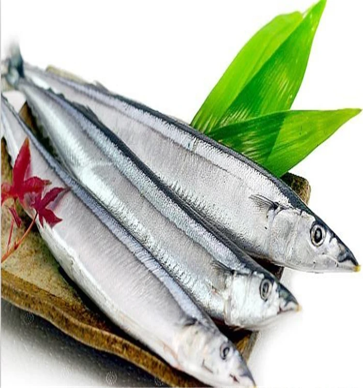 
Fresh Wholesale Frozen (Cololabis Saira) Pacific Saury Fish 