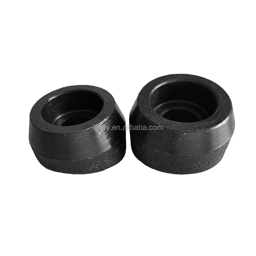 Sfenry Forged Butt Weld Fittings MSS SP97 Weldolet A105