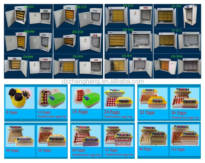 Fully automatic ZH-352 chicken egg incubator