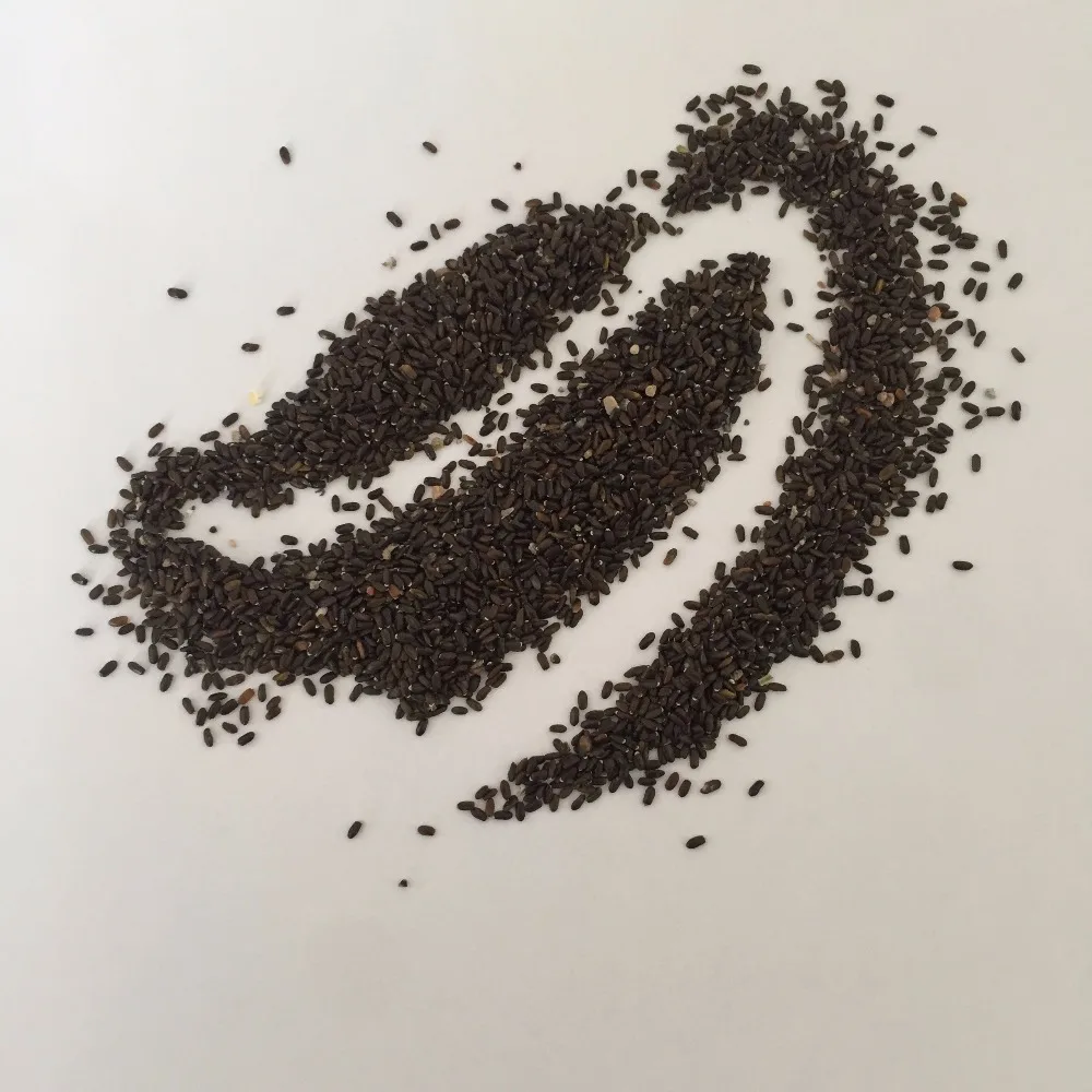 
S421 Xun yi cao High Germination Lavandula Angustifolia Seeds for Planting 