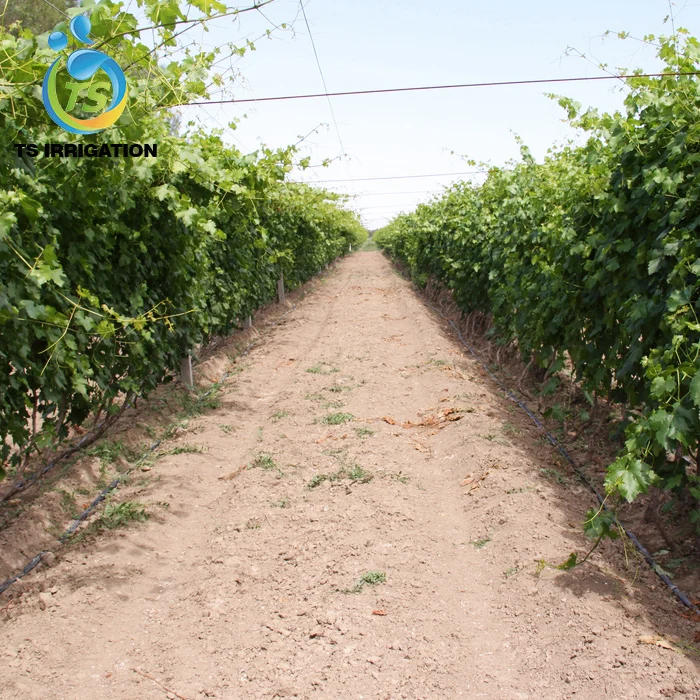 Система капельного орошения Ts для деревьев в наборах для полива