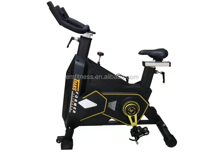 Indoor spinning bike commercial exercise spinning bike swing spin bike EM7300