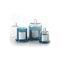 Glass Cloche bell candle jars golden silver blue black custom color display dome with glass base