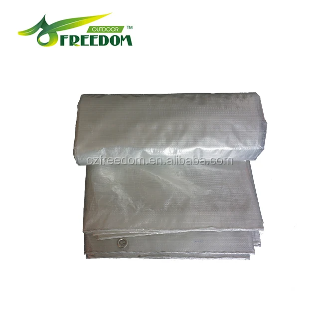 Industrial Cheap Plastic tarpaulin/Clear Tarp