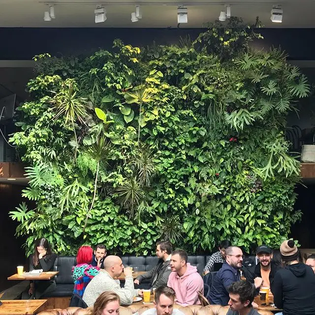 Wholesale florafelt greenwall geotextile plant wall vertical garden