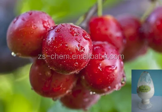 Гормон для растений 6-BAP 98% TC, химикаты для сельского хозяйства bap цитокинин