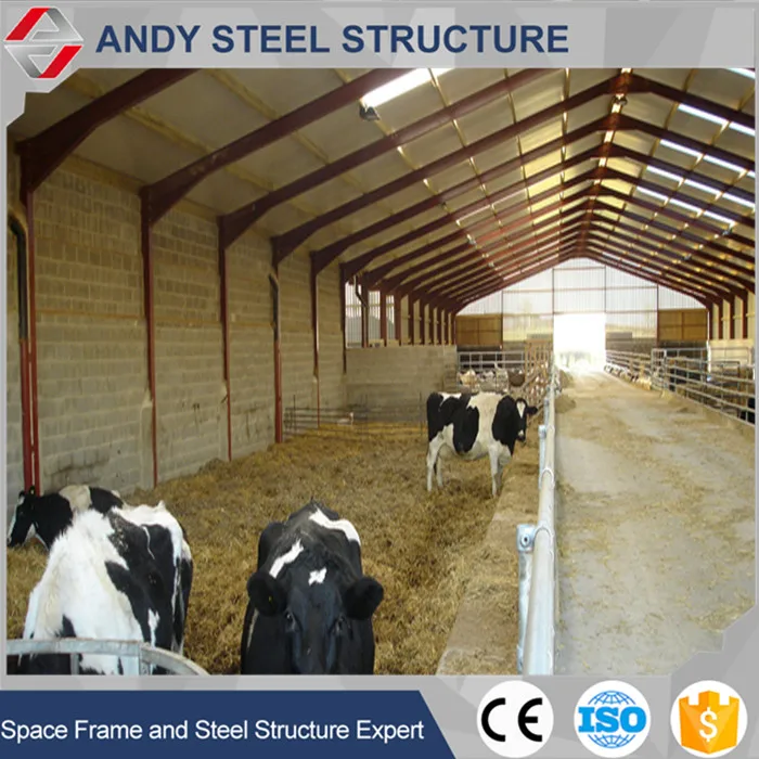 Prefab steel structure dairy cow shed farm