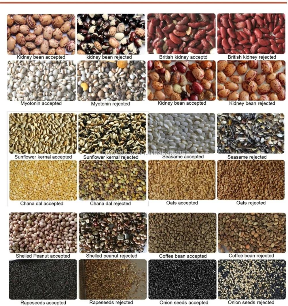 sorting applications