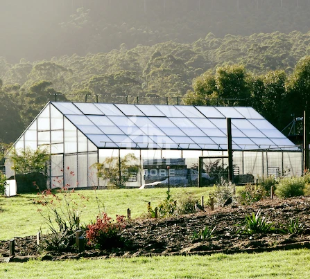 G-MORE гигантский парник хобби 7 м шириной 12 м длина земледелия для наборы оптом