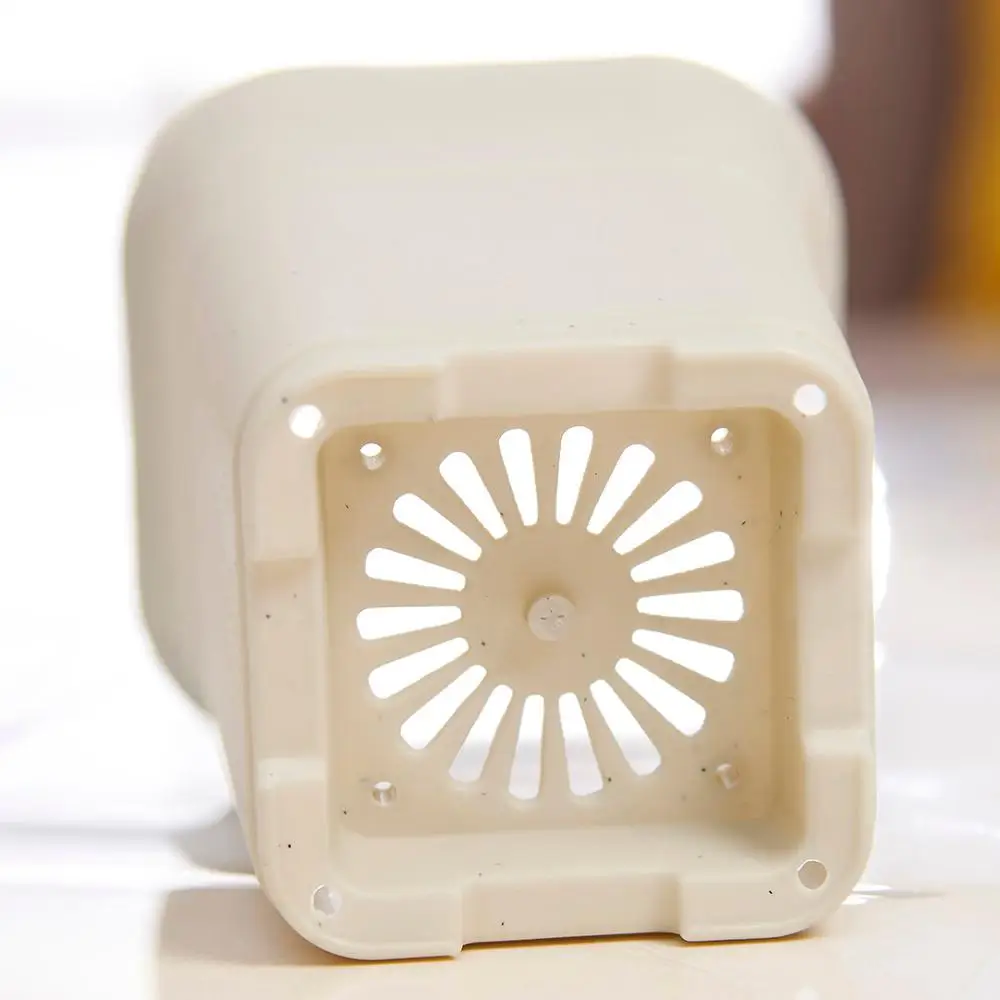 Buy Tall Square White Black Plastic Succulent Planters Haworthia Maughanii Flower Pot