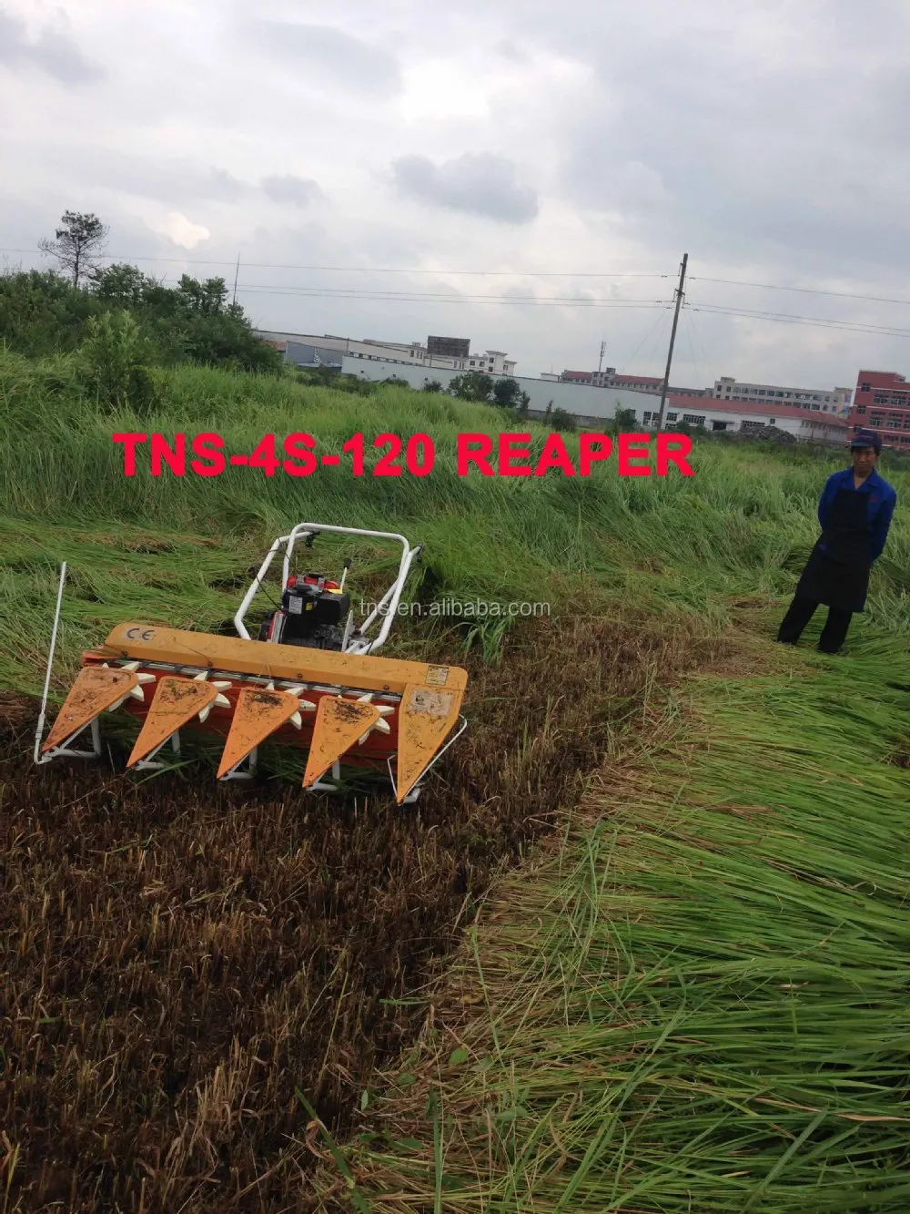 mini rice cutter/rice reaper/rice harvester