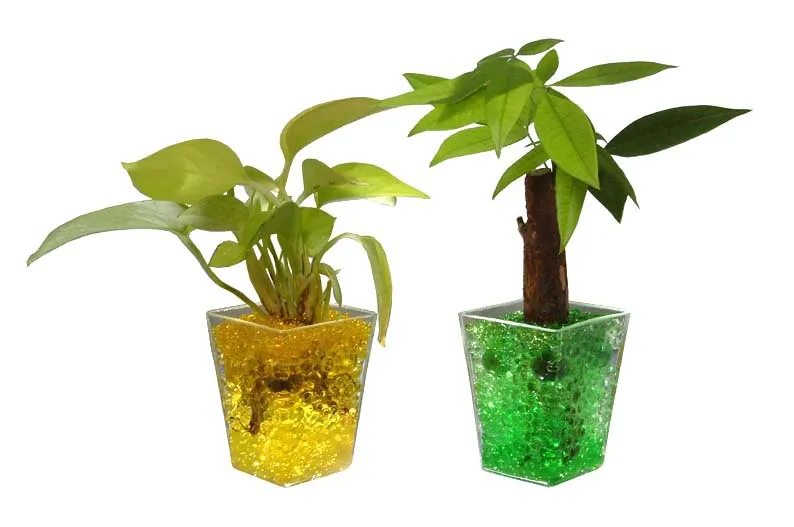 water storing jelly crystal mud soil