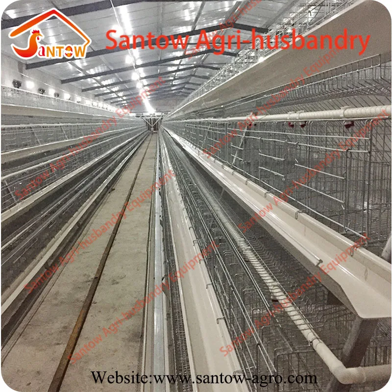 Pakistan Libya Turkey poultry farm layer cage chicken layer poultry designs