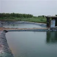 HDPE Geomembrane for landfill liner, Salt marshes, Garbage burying field, oil field, refuse dump