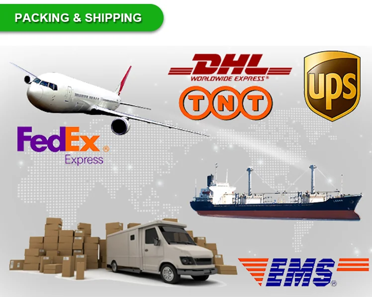 paste-pic-dp_uuid_wo43p