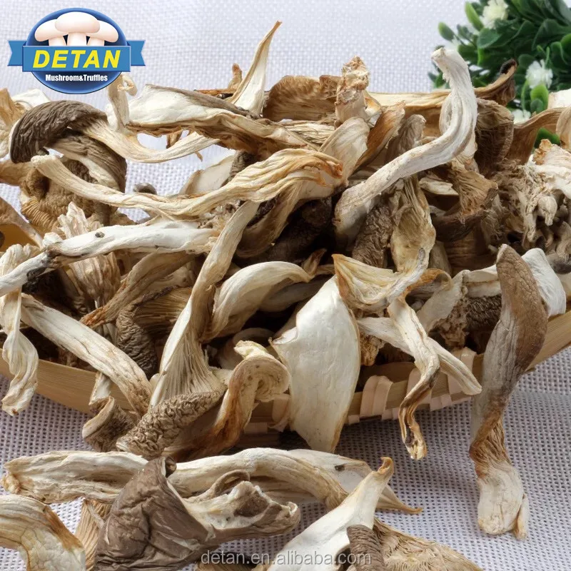 Сухие устричные грибы