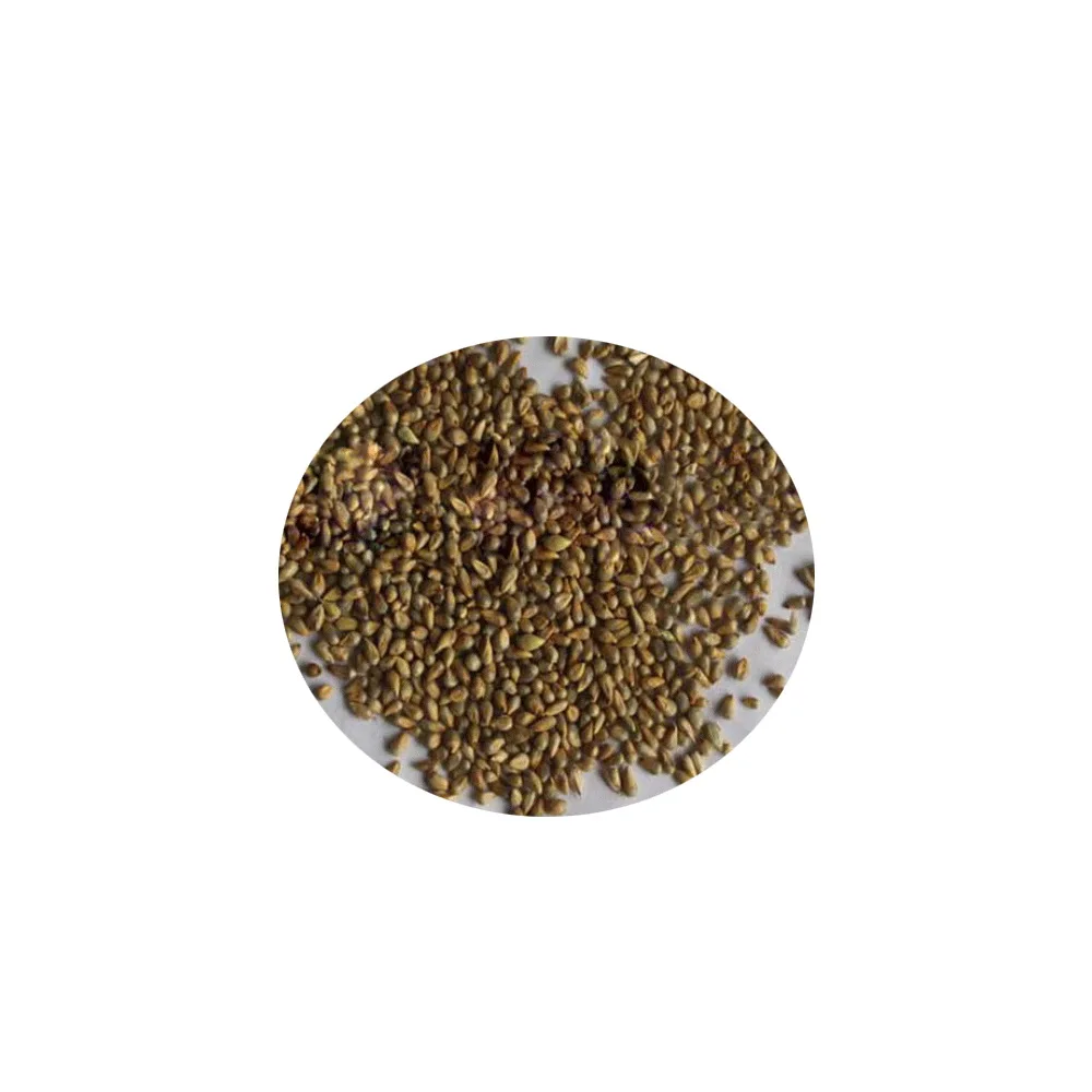 Новая партия 2021, семена травы Touchhealthy/семена травы