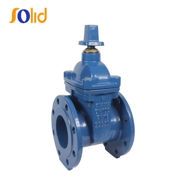 
BS5163/ EN 1171 PN25 Rising Stem Resilient Seated Gate Valve 