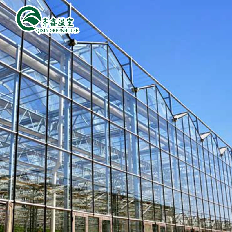 Large Vertical Hydroponic System Glass Greenhouses Agriculture