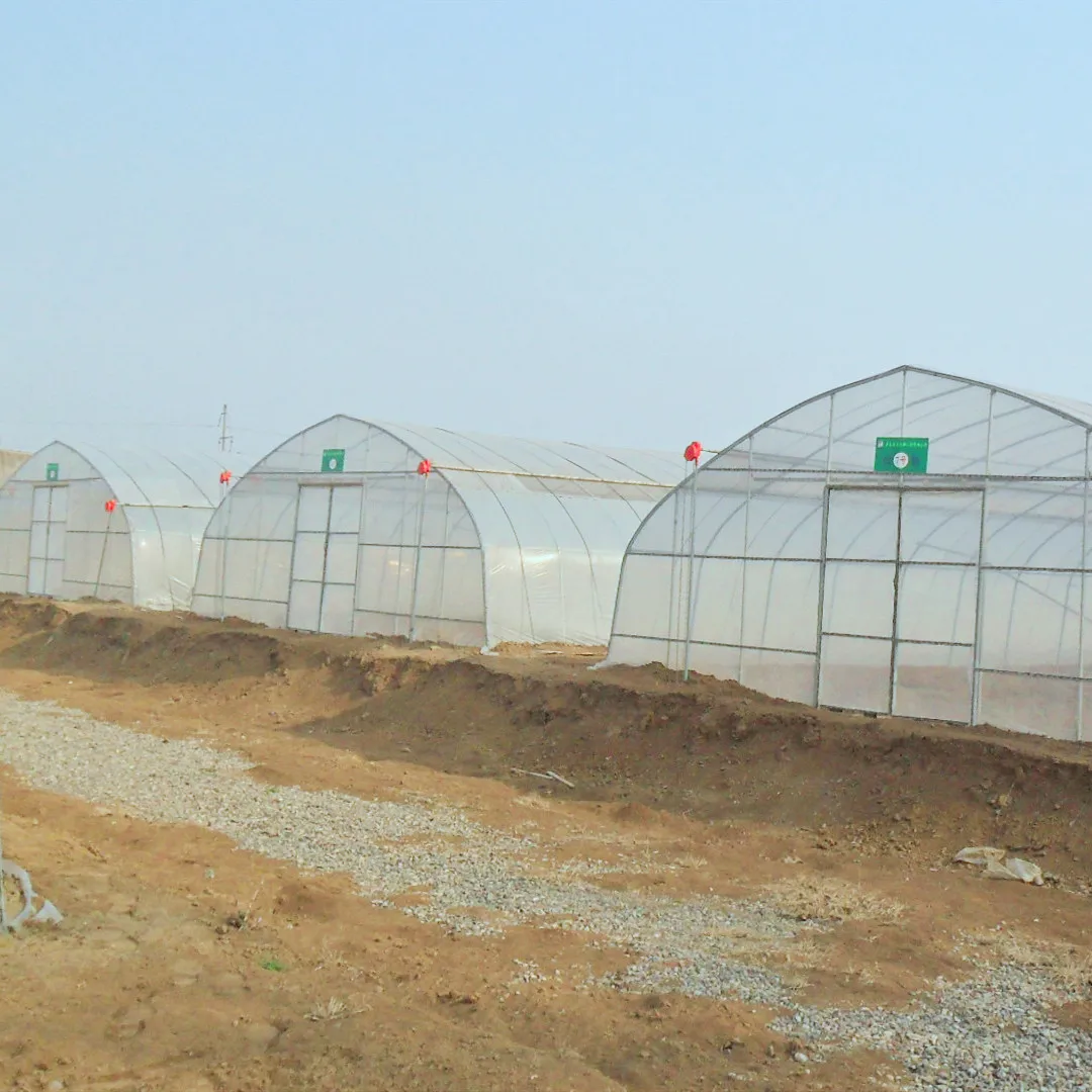 Коммерческая/Сельскохозяйственная Однопролетная пленочная теплица, одобренная парниковым рынком