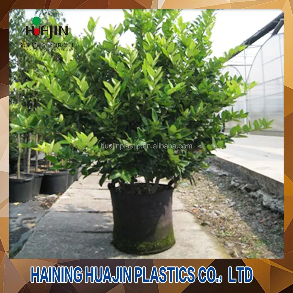 manufacturer garden planter bag Biodegradable grow bag Fabric Pots Grow Bag