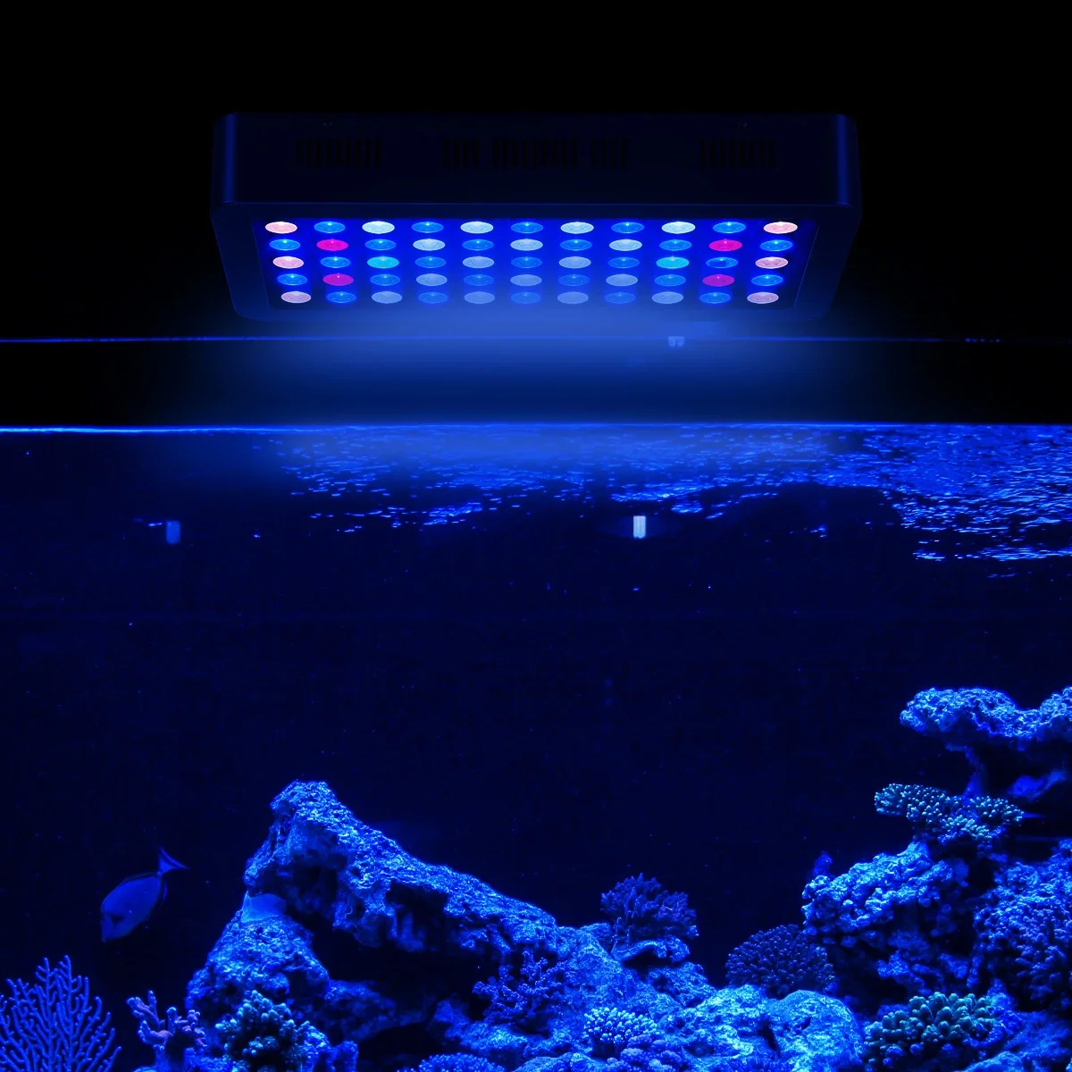 Aquarium Lights Item Type and Cool White 14000K Color Temperature led aquarium light